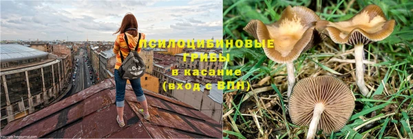 амф Володарск