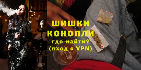 дмт Горняк