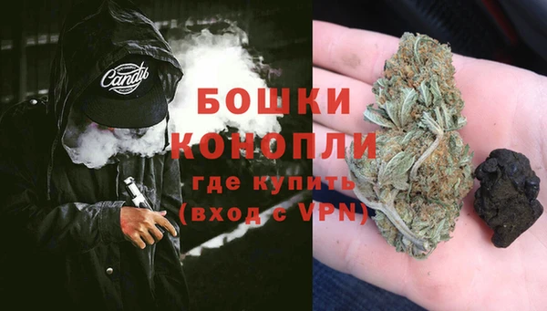 молекула духа Чердынь
