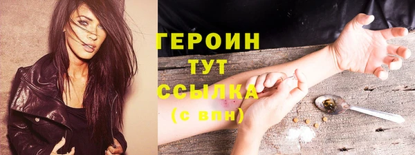 гидра Вяземский