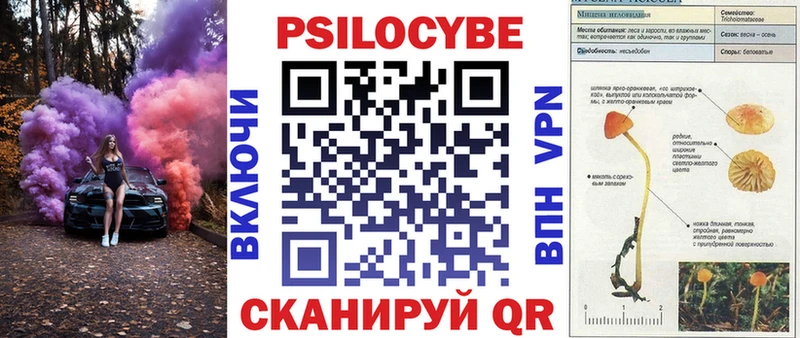 купить наркотики сайты  Жигулёвск  Псилоцибиновые грибы ЛСД 
